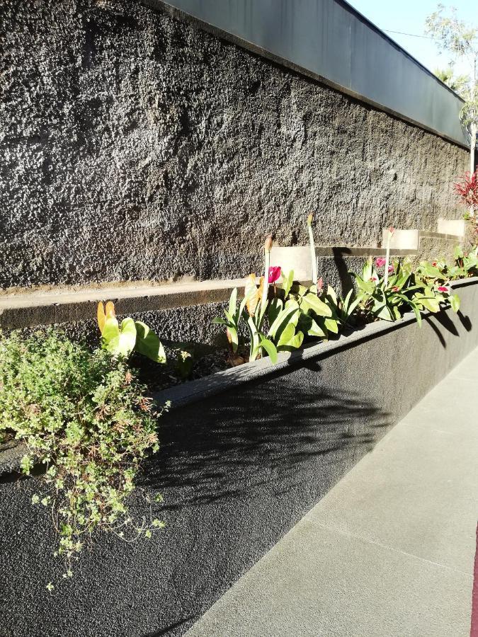 Fx Carvalhal Hotel Funchal  Exterior photo